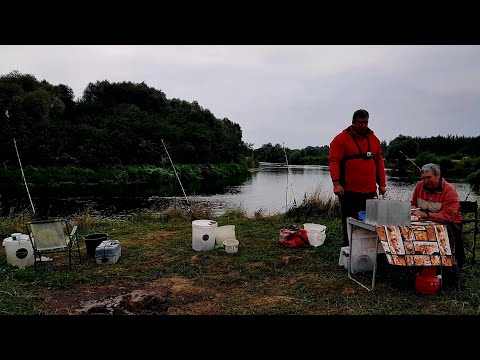 Видео: Донки на Днепре! Два Выезда. Рыбалка с Ночевкой на Днепре. Лещ на Донки Крокодил. Рыбалка на Донки.