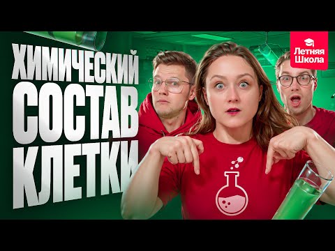 Видео: 2. Химический состав клетки | Летняя школа | ЕГЭ-2026 по биологии