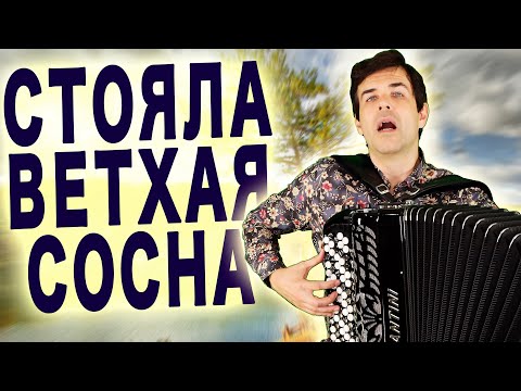 Видео: 🎵 Мурашки по Коже от Голоса! Стояла ветхая сосна