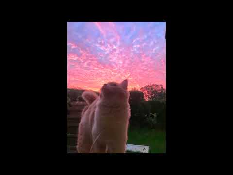 Видео: Aнтитіла - Лови момент (speed up)