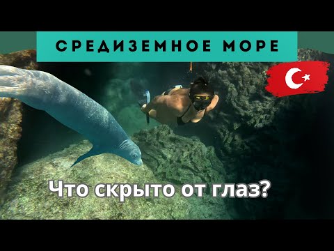 Видео: Турция: Секреты морских глубин
