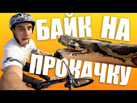 Видео: БАЙК НА ПРОКАЧКУ #5 // Змея - BMX (Дима Гордей)