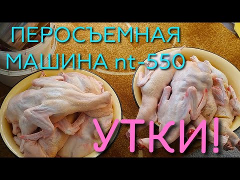 Видео: УТКИ 🦆МАЛЫШКА В РАБОТЕ - Я В ШОКЕ ОТ ЭТОЙ ПЕРОСЪЕМНОЙ МАШИНКИ.