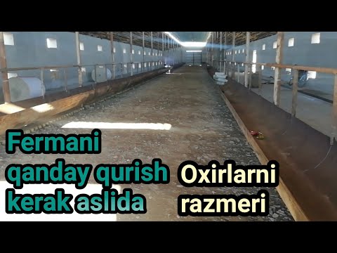 Видео: Молхона охирларни размери нечи булиши керак Фермамизни курулиши дан видео