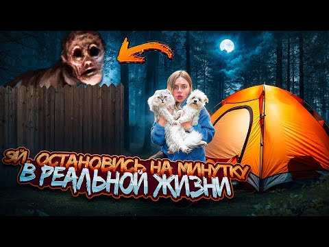 Видео: 24 ЧАСА В ЛЕСУ ЭЙ ОСТАНОВИСЬ НА МИНУТКУ С КЕВИНОМ И БИЛЬКОЙ