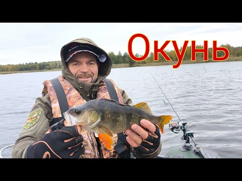 Видео: Знайшов окуня