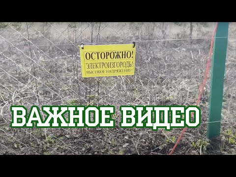 Видео: Опасен ли электропастух?