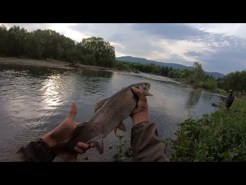Видео: КРАСНОКНИЖНЫЕ ЛЕНКИ, ХАРИУС!!! В ИЗБЕ УПАЛ ПОТОЛОК. ТАЙГА.