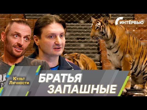 Видео: Эдгард Запашный: Достижение каждой семьи – успех последующих поколений