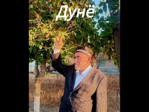 Видео: Дунё