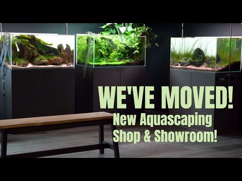 Видео: Мы переехали! Новый магазин товаров для акваскейпинга и экскурсия по выставочному залу, Aquarium ...