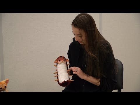 Видео: Пушистые #монстрики ручной работы