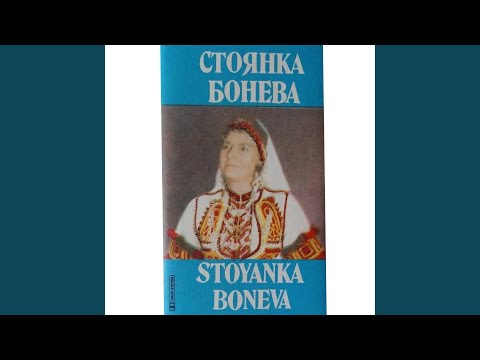 Видео: Лудо-младо