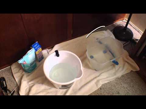 Видео: Проблемы с плавательным пузырём у рыб: как принять солевую ванну