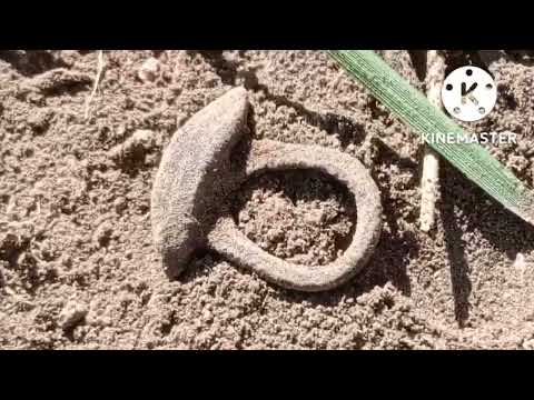 Видео: Находки в неожиданном месте на МД-6450.