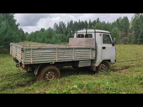 Видео: Простые радости деревни.Пошли рыжики.