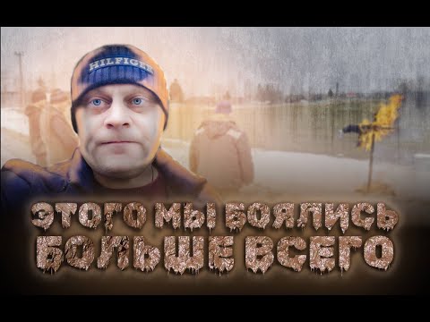 Видео: Пиломатериал дорожает! Большой дефицит леса.