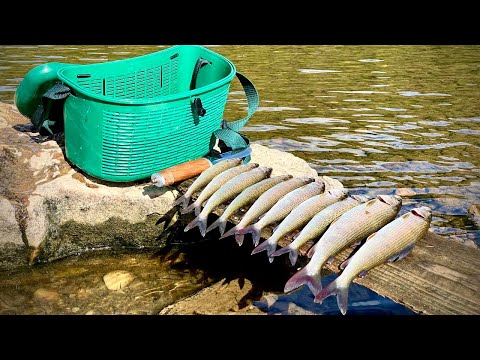 Видео: Рыбалка на реке Вишера. Пермский край.