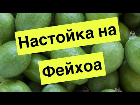 Видео: Настойка на Фейхоа (архив)