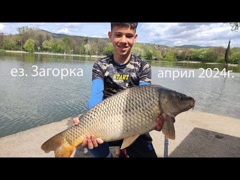 Видео: ез. Загорка - април 2024г.