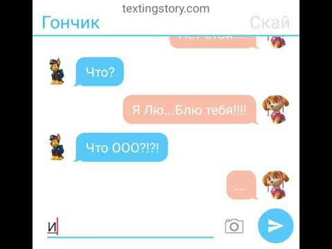 Видео: Переписка Скай и Гончика