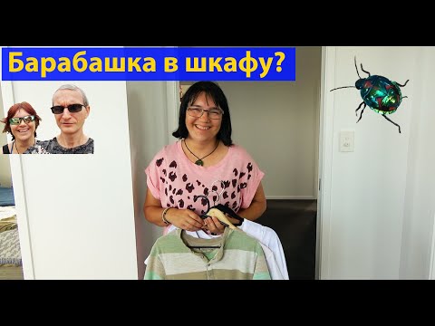 Видео: Откуда берутся дырки в одежде? (видео 337)