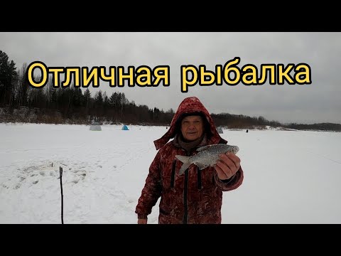 Видео: ОТЛИЧНАЯ РЫБАЛКА НА МОЛОМЕ/СТАВИМ КОМБАЙНЫ