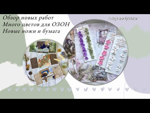 Видео: Обзор новых работ. Много цветов 🌸 Покупочки 🗃 #скрапбукинг