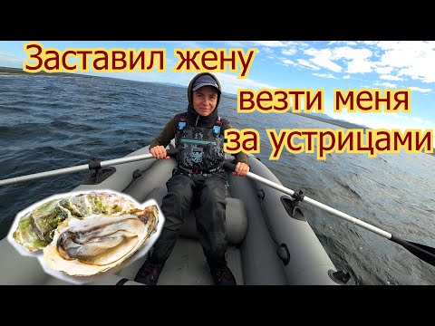 Видео: Заставил жену надувать лодку и везти меня за устрицами  | Сахалин | Озеро Буссе