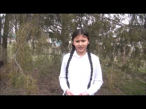 Видео: Қалың елім, қазағым, қайран жұртым