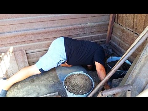 Видео: Бесконечная работа в приюте. Собачки любят копать, а я нет! 9 часть строительства навеса.