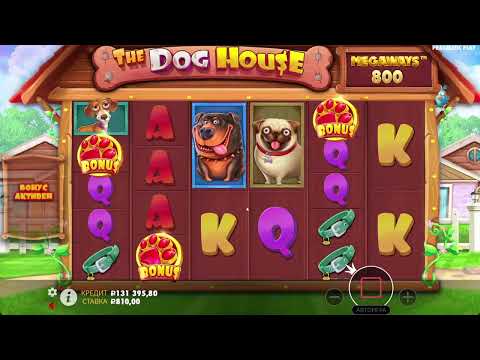 Видео: ЗАНЕС В СЛОТЕ THE DOG HOUSE MEGAWAYS 400К ! ЖЕСТКИЕ БОНУСКИ В THE DOG HOUSE MEGAWAYS