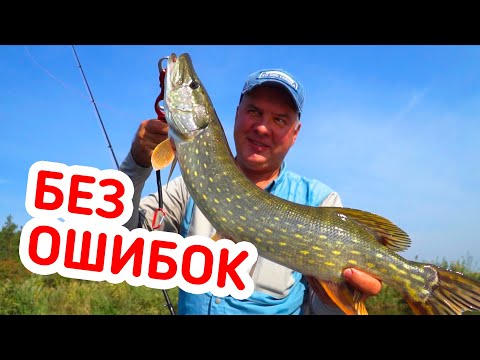 Видео: Ловля пассивной щуки осенью! Рыбалка на приманку которой ни у кого нет!