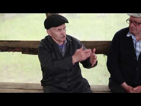 Видео: Встреча в Борисовке 2019. Беседа с Кашковским В Г