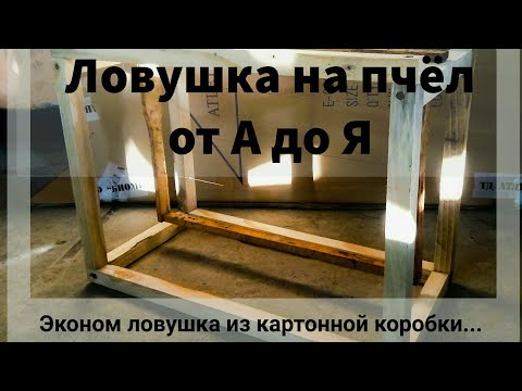 Видео: Как сделать ловушку на пчёл от А до Я! Роеловство 2019. Начинающему роелову на заметку.