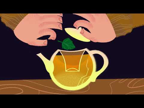 Видео: Николай Гринько - Сурикаты (animation)