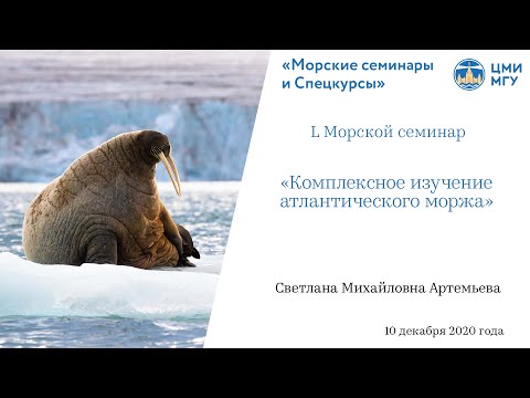 Видео: L Морской семинар — «Комплексное изучение атлантического моржа»