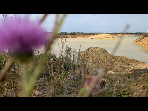 Видео: FPV. Красивый карьер в лесу.