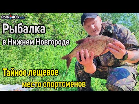 Видео: Рыбалка на Волге Нижний Новгород. Ловля леща на фидер. Уловистое место для рыбалки