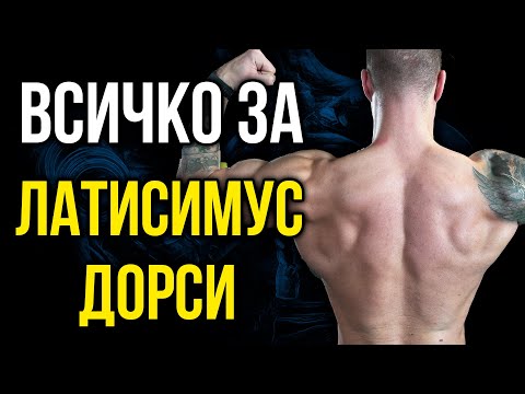 Видео: Всичко за ЛАТИСИМУС ДОРСИ (широк гръбен мускул) - Тестове, залавни места, движение и упражнения