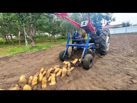 Видео: КАРТОФЕЛЕКОПАЛКА больше не «БУЛЬДОЗЕР».  КАРТОФЕЛЬ как «БАНАН»