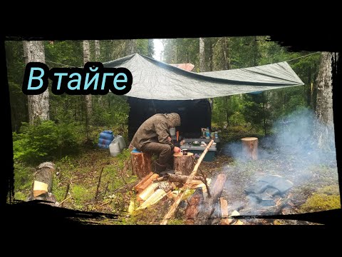 Видео: 4 МЕСЯЦА В ТАЙГЕ.  БОЛЬШОЙ ФИЛЬМ. (1/2)