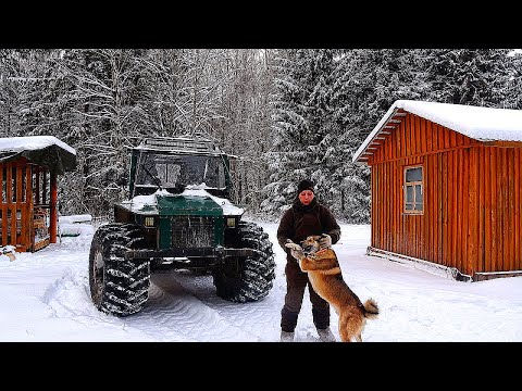 Видео: НОВЫЙ ГОД В ТАЕЖНОЙ ИЗБЕ! АЛТАЙ УБЕЖАЛ В ЛЕС. СЛЕДЫ ВОЛКА РЯДОМ С ЛЕСНОЙ ХИЖИНОЙ!