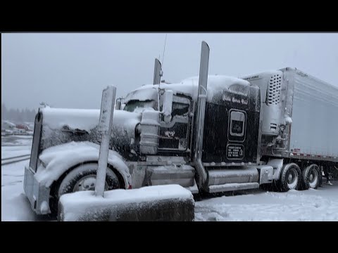 Видео: #KENWORTH #W900 КЕША В СНЕГУ