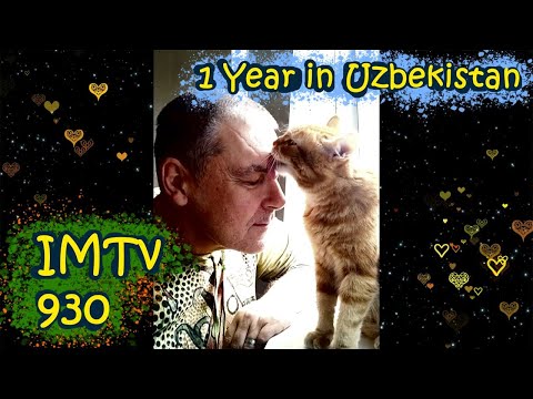 Видео: Год в Узбекистане. Кошка Рокси и Мистер Шанти в Фергане
