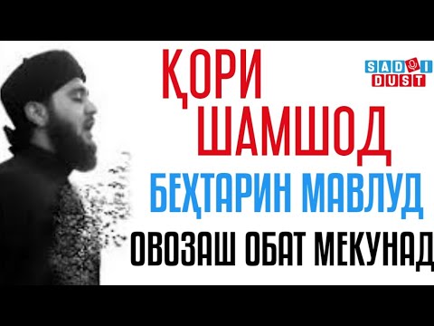 Видео: 🌹 Кори Шамшод - Бехтарин Мавлуд, садояш обат мекунад | قاری شمشاد- مولود صدایش چه زیباست Садои Дуст