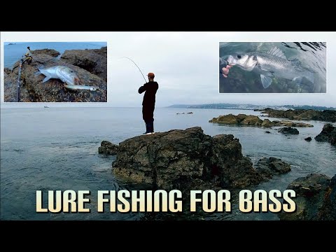 Видео: ОКУНЬ СХОДИТ С УМА! | ЛОВЛЯ ОКУНЯ НА ПРИМАНКУ | PATCHINKO 125