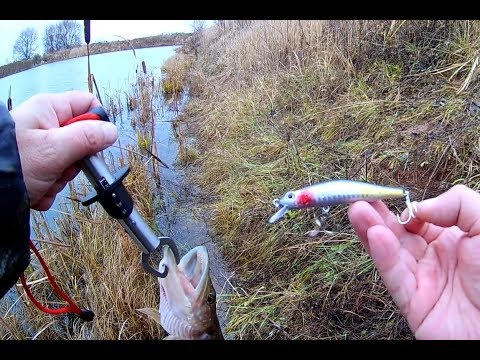 Видео: Самый дешевый китайский Орбит 80. Не обошлось и без Рипрайзера. Закрытие летнего сезона 2017.