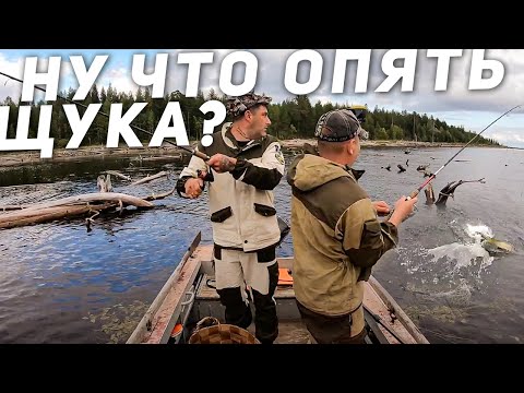 Видео: Столько ЩУК что устала рука дергать одну за одной // рыбалка на сегозере