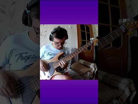 Видео: СОЛО ДЛЯ ДВУХ БАСОВ #гитара #bass #guitar